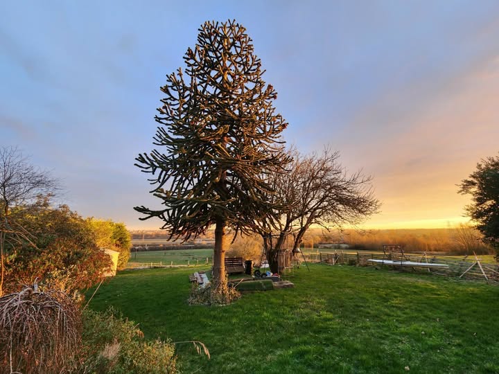 Sống một cuộc đời đáng sống ✨