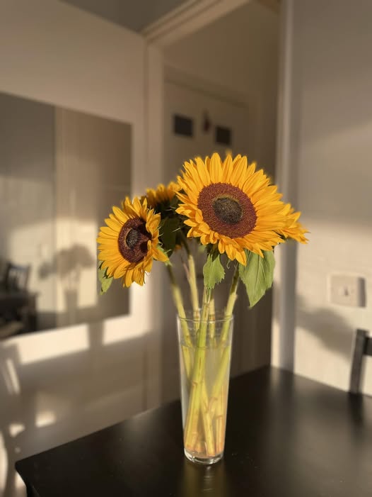 - Cháu luôn lên kế hoạch cho mọi việc trong cuộc sống đúng không? (You are a planner, aren’t you?)