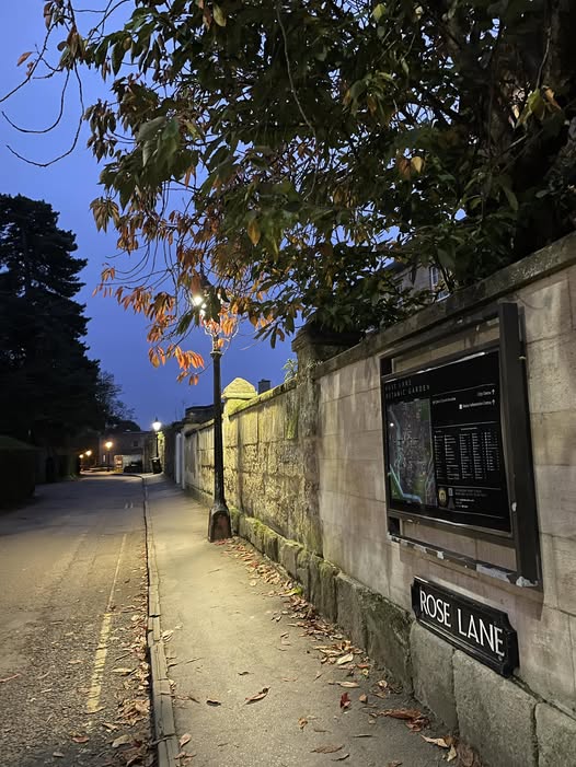 Trường mình vừa tái cơ cấu toàn bộ bộ phận Marketing hơn 50 người.