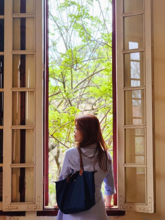 Mentor gần 100 học sinh apply học bổng trong hơn 1 năm qua, mình nhận ra: