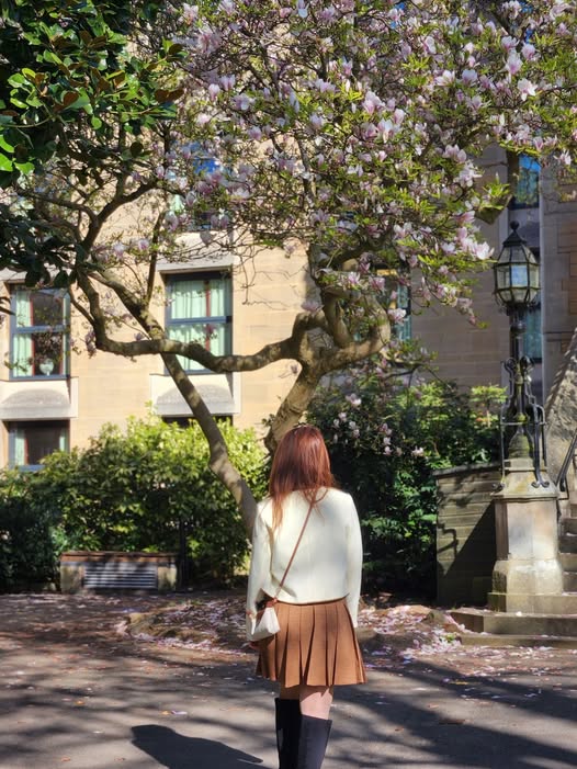 Biết nhiều chưa chắc tốt